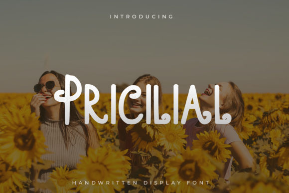 Pricilial: A Versatile Display Font for Modern Design Needs